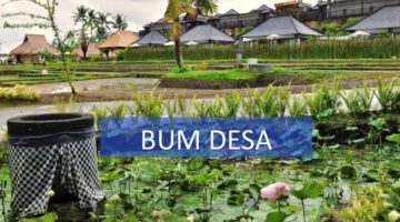 Saatnya Desa Punya Perusahaan, BUMDesa