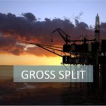 gross split